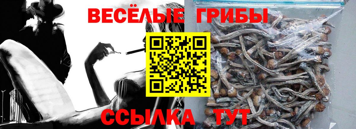 Псилоцибиновые грибы прущие грибы Таганрог