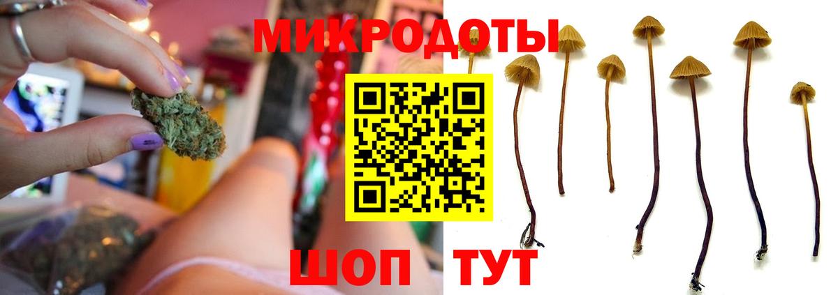 Псилоцибиновые грибы прущие грибы  Вход с VPN  Таганрог  Галлюциногенные грибы Cubensis 